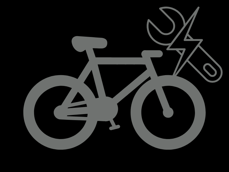 Inspektion Level 3 Platin