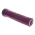 GA2 Purple Reign