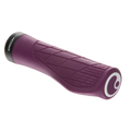 GA3-L Purple Reign